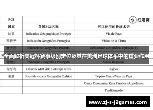 全面解析美冠杯赛事级别定位及其在美洲足球体系中的重要作用